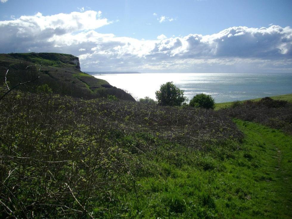 Berneval-le-Grand Villa Les Falaises المظهر الخارجي الصورة