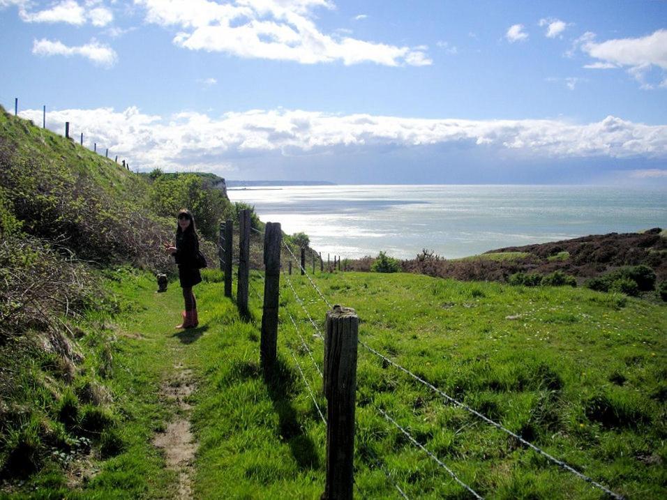 Berneval-le-Grand Villa Les Falaises المظهر الخارجي الصورة