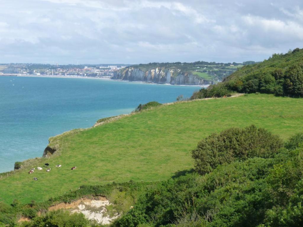 Berneval-le-Grand Villa Les Falaises المظهر الخارجي الصورة