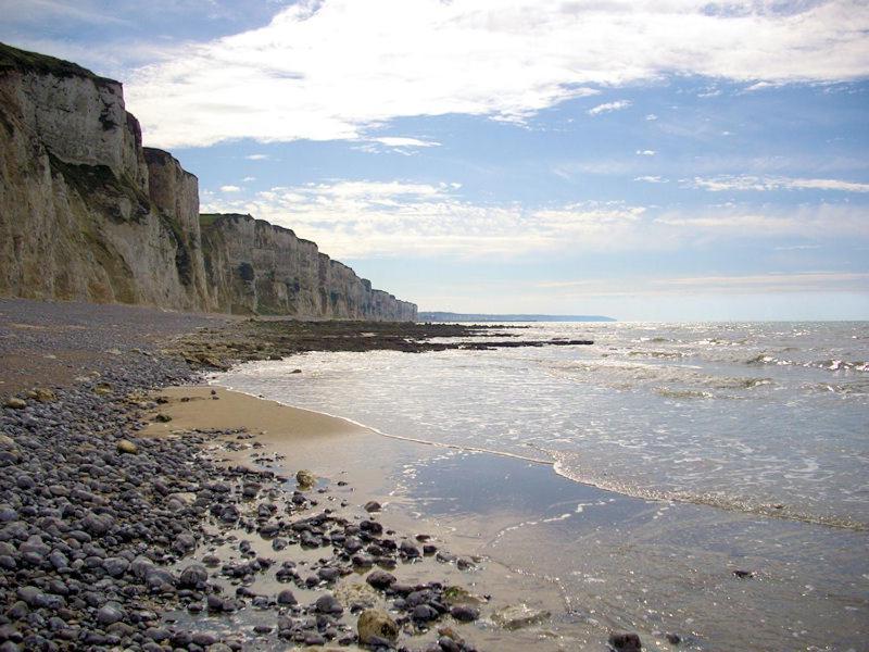 Berneval-le-Grand Villa Les Falaises المظهر الخارجي الصورة